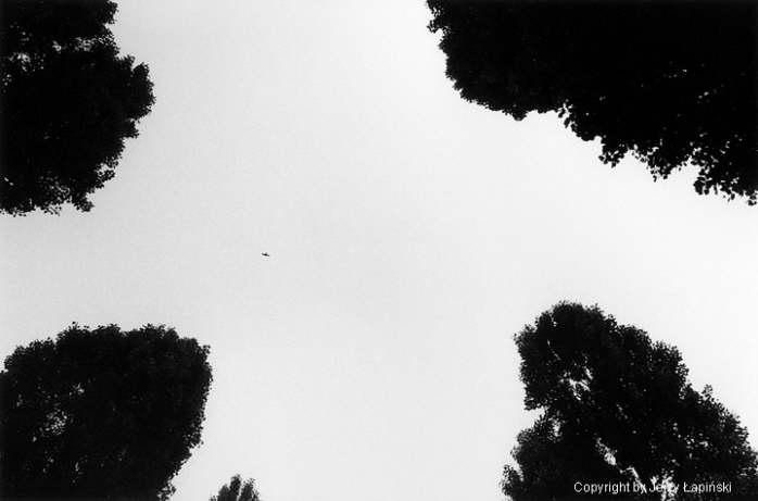 076965, Muzeum w Oswiecimiu - Auschwitz Museum, 2000/07/03