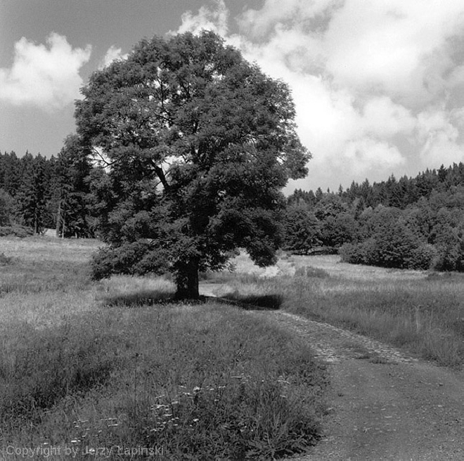 077264, Przelecz Ladecka, 2000/08/01