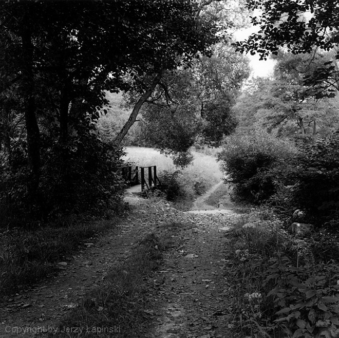 077317,  Orliczka, Radoch�w, 2000/08/04