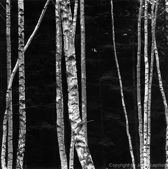 077342, Karpno, 2000/08/09