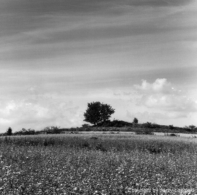 077346, Zbocze Siniaka, 2000/08/10