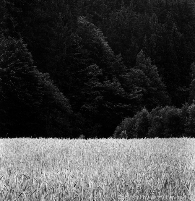 080515, Radoch�w, 2001/06/14