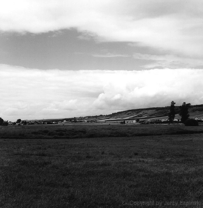 082153, Dolina Nidy pod Pinczowem, 2002/06/29