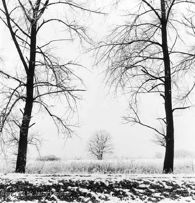 082762, Wawer, 2002/12/26