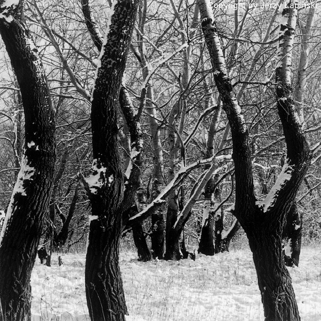 082930, Wawer, 2003/02/01