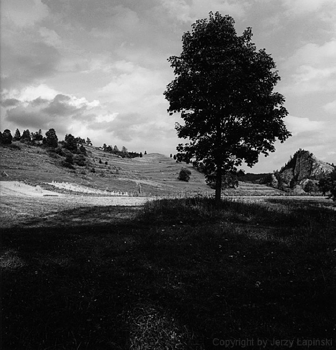 083568, Jaworki, 2003/08/21