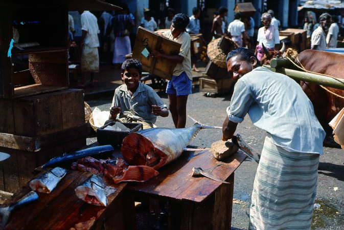 Colombo, 1969, Sri Lanka